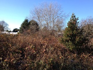 Picture of Point Roberts Parcel Number 405311-222544
