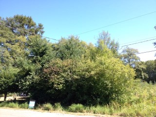 Picture of Point Roberts Parcel Number 415335-354189