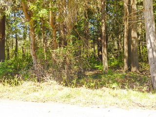 Picture of Point Roberts Parcel Number 405301-053102