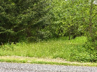 Picture of Point Roberts Parcel Number 405304-512306
