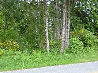 Picture of Point Roberts Parcel Number 405302-145243