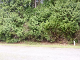 Picture of Point Roberts Parcel Number 415335-114030