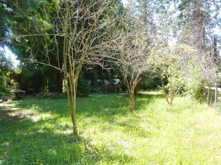 Picture of Point Roberts Parcel Number 405303-487451