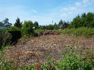 Picture of Point Roberts Parcel Number 405311-222558