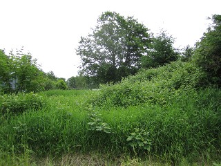 Picture of Point Roberts Parcel Number 415335-325178