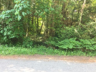 Picture of Point Roberts Parcel Number 415335-045123