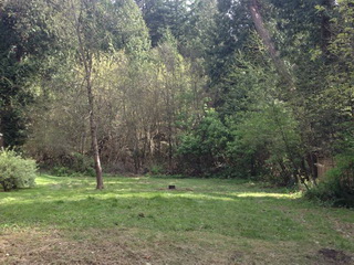 Picture of Point Roberts Parcel Number 405312-124409