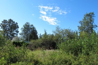 Picture of Point Roberts Parcel Number 405311-018455
