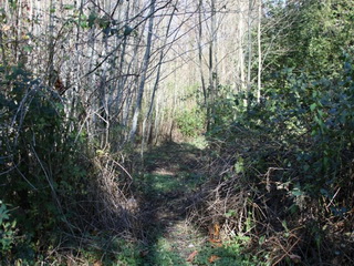 Picture of Point Roberts Parcel Number 405304-550424