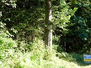 Picture of Point Roberts Parcel Number 415334-092169
