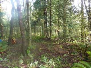 Picture of Point Roberts Parcel Number 405301-095229