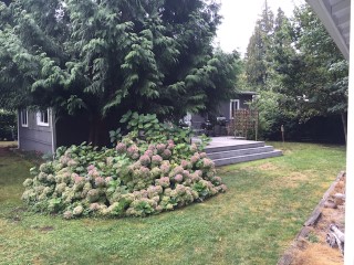 Picture of Point Roberts Parcel Number 405302-239203