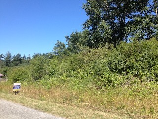 Picture of Point Roberts Parcel Number 405310-547442