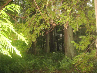Picture of Point Roberts Parcel Number 405302-536163