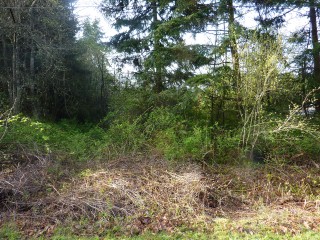 Picture of Point Roberts Parcel Number 405301-027081