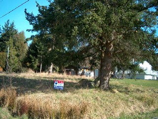 Picture of Point Roberts Parcel Number 405311-009494
