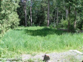 Picture of Point Roberts Parcel Number 405302-462490
