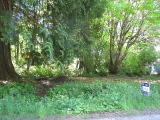 Picture of Point Roberts Parcel Number 405302-238169