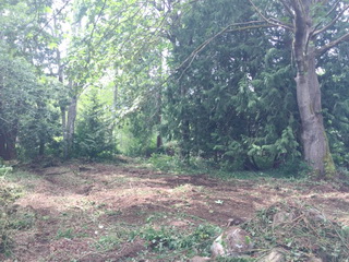 Picture of Point Roberts Parcel Number 405303-469418