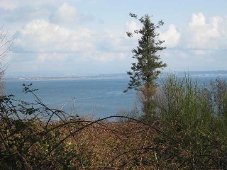 Picture of Point Roberts Parcel Number 405301-095448