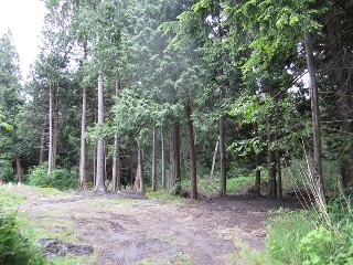 Picture of Point Roberts Parcel Number 405301-050186
