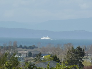 Picture of Point Roberts Parcel Number 405311-419515