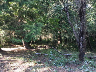 Picture of Point Roberts Parcel Number 405302-502490
