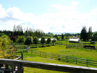 Picture of Point Roberts Parcel Number 405303-484334