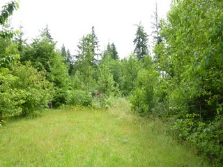 Picture of Point Roberts Parcel Number 415335-117093