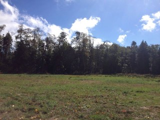 Picture of Point Roberts Parcel Number 415334-026102
