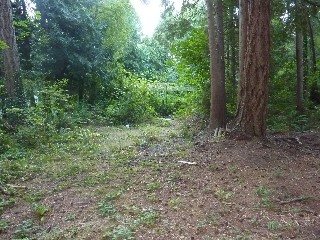 Picture of Point Roberts Parcel Number 415335-009035