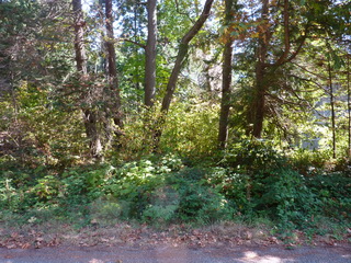 Picture of Point Roberts Parcel Number 405312-124361
