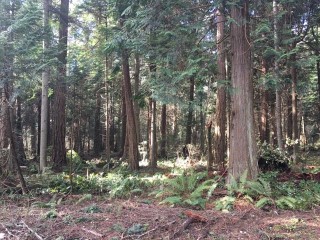 Picture of Point Roberts Parcel Number 405312-118481