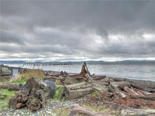 Picture of Point Roberts Parcel Number 405309-487394