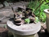 yard7