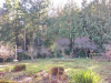 yards1