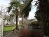 yard1