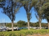 lot view