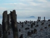 Beach at Lily Point Park