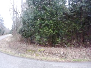 Picture of Point Roberts Parcel Number 405302-538242