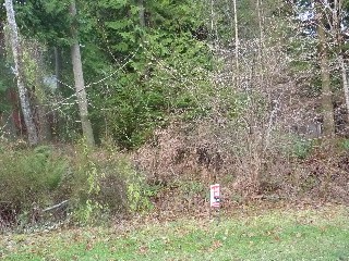 Picture of Point Roberts Parcel Number 415335-063149