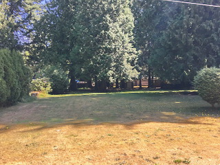 Picture of Point Roberts Parcel Number 405303-541451